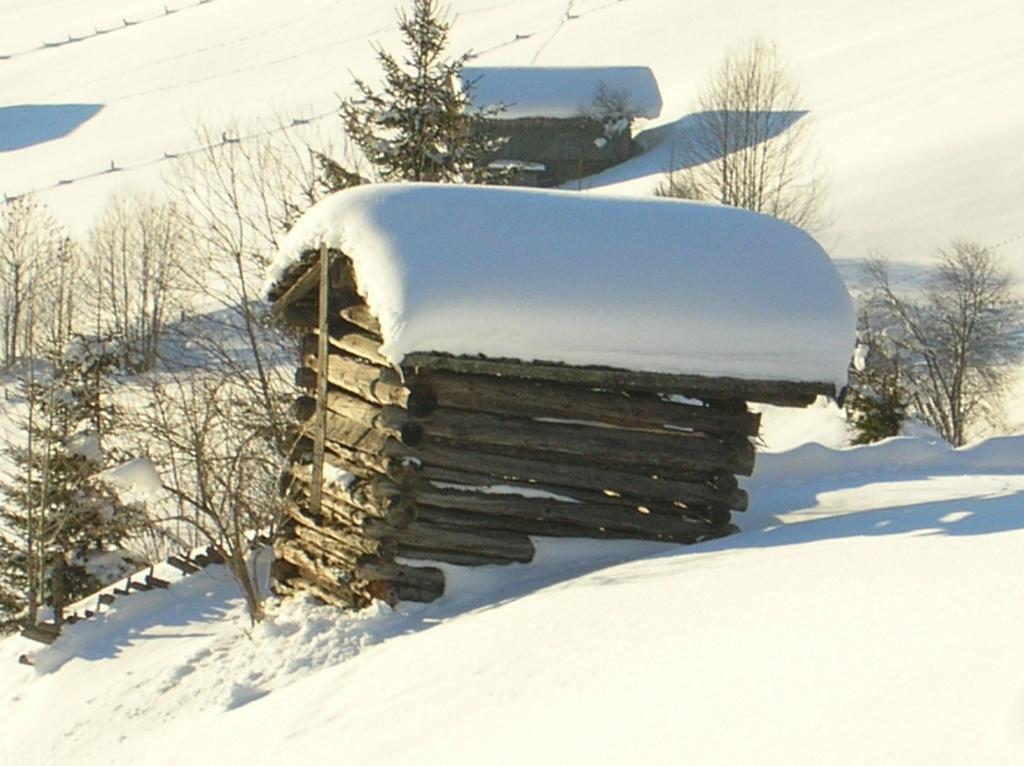 Haus Konrad Apartment Reith im Alpbachtal Bagian luar foto